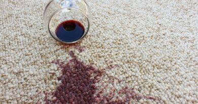 Derramei vinho no tapete